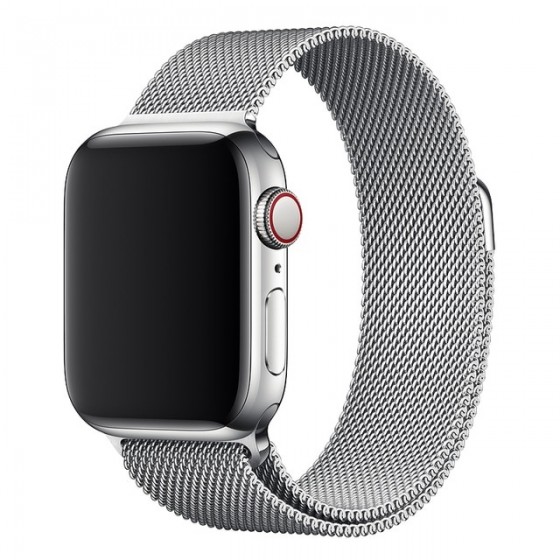 Correa Metal AppleWatch Plateado